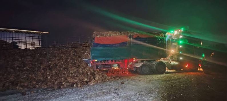 45,100 kg kelapa cuba diseludup ke Thailand dirampas