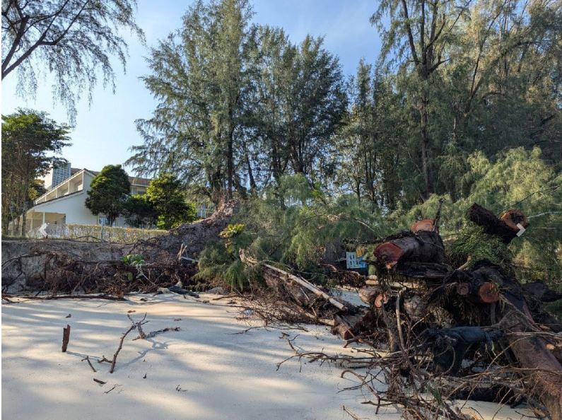 Pengunjung bimbang, hakisan tebing pantai Batu Feringgi semakin teruk