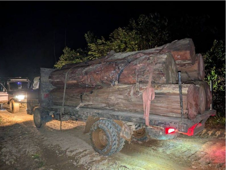 PGA rampas kayu balak RM1.6 juta