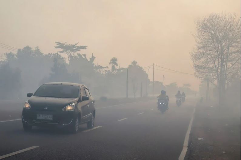 Indonesia kenakan sekatan terhadap 6 syarikat susulan kebakaran hutan Kalimantan